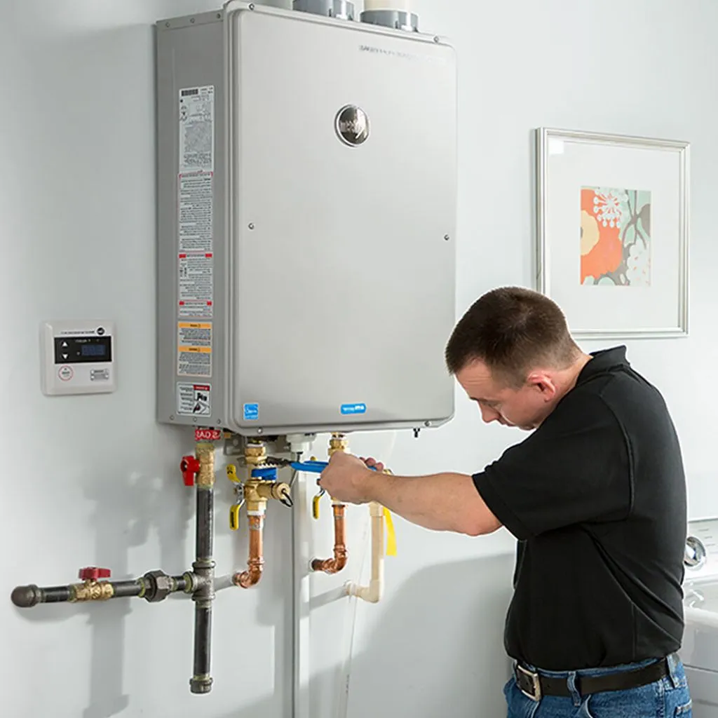 tankless water heater repair in Leiters ford, IN